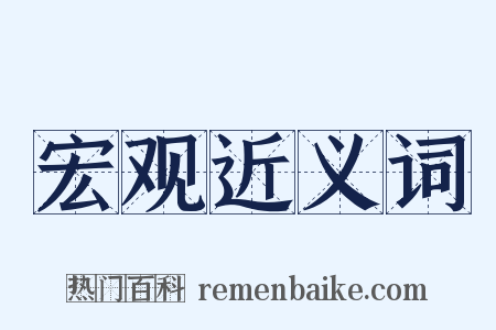 宏观近义词是什么意思的图片